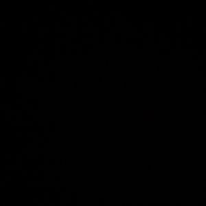 PrettyLittleThing maxi dress